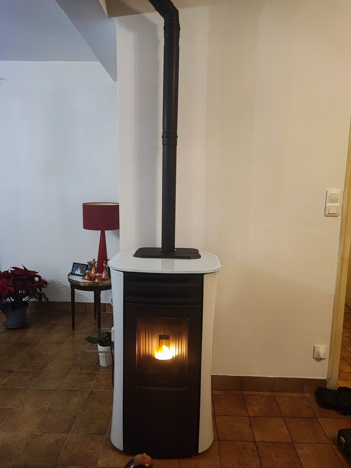 Edilkamin Dania air Thight installé à Cavaillon (84) par Flamme Concept, poêle à pellet étanche (granulé), avec mode silence et wifi